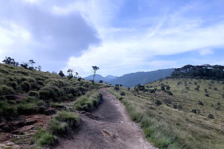 Horton Plains